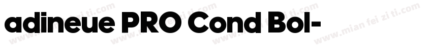 adineue PRO Cond Bol字体转换